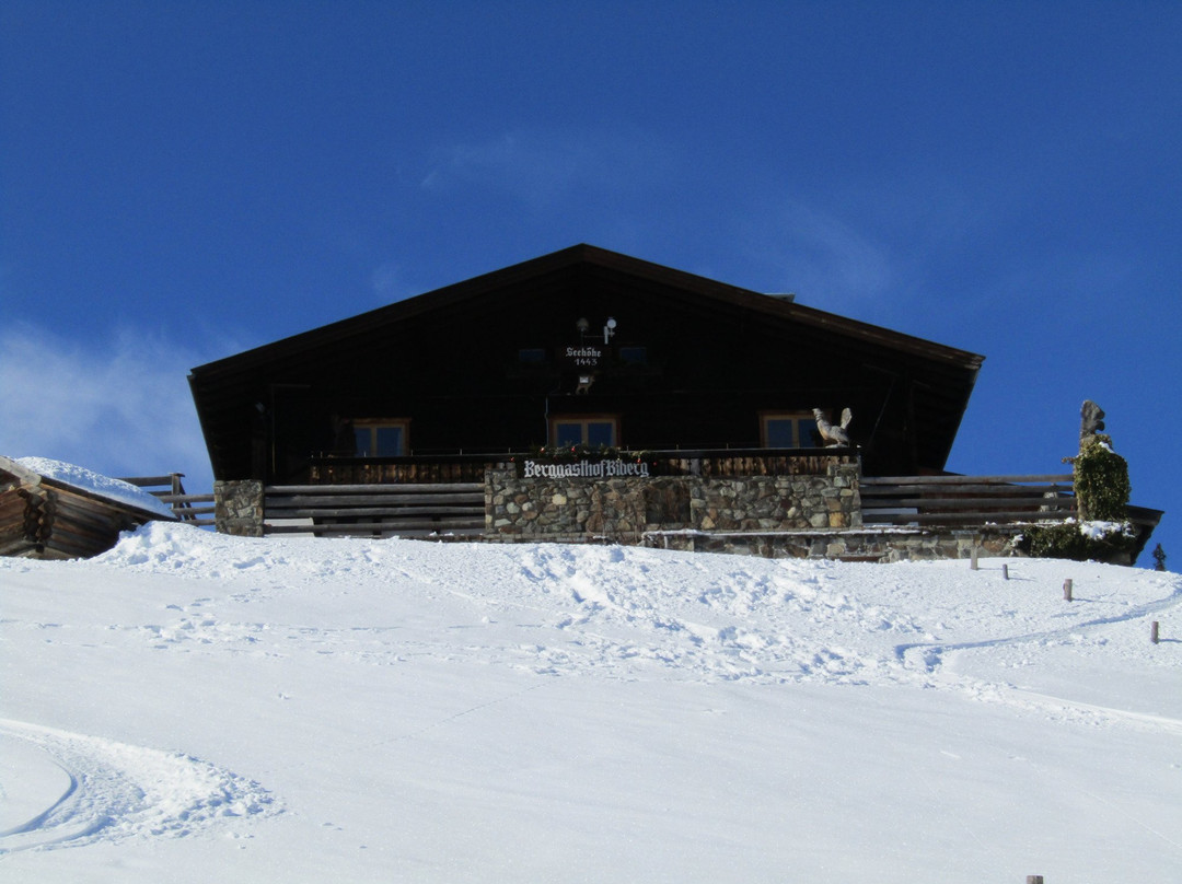 萨尔费尔登安斯特勒嫩米尔酒店住宿-Berggasthof Biberg