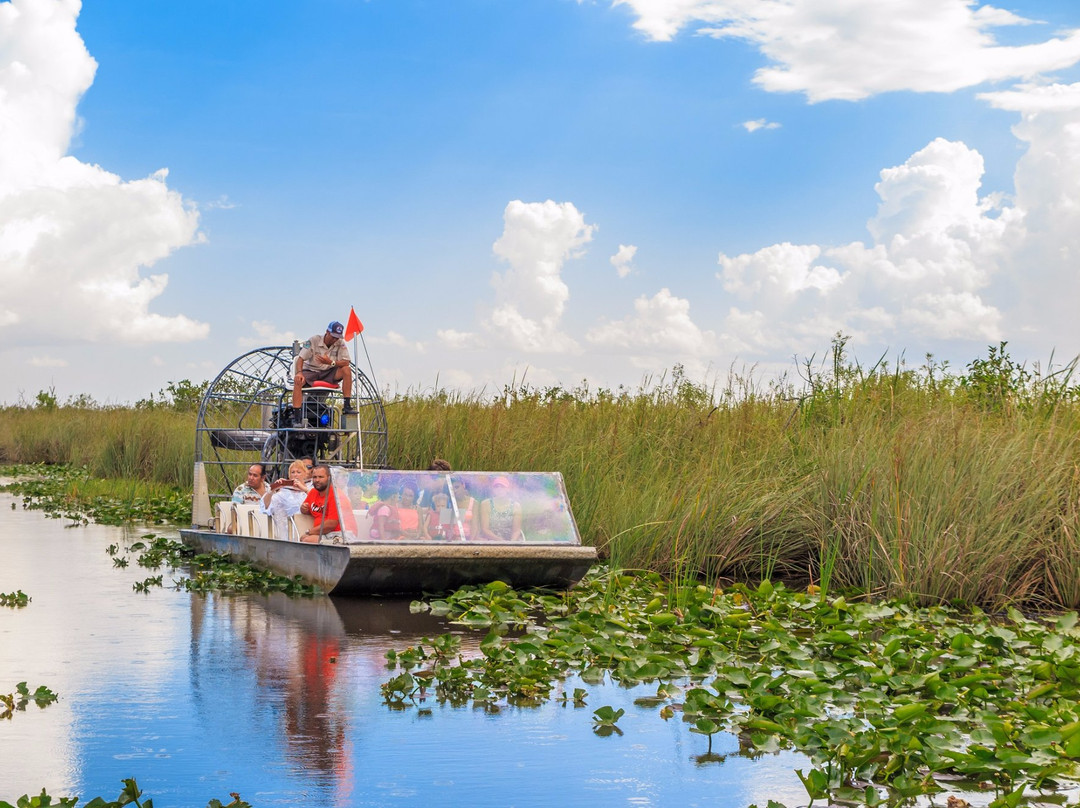 Under The Sun Tours-庞帕诺比奇必去景点