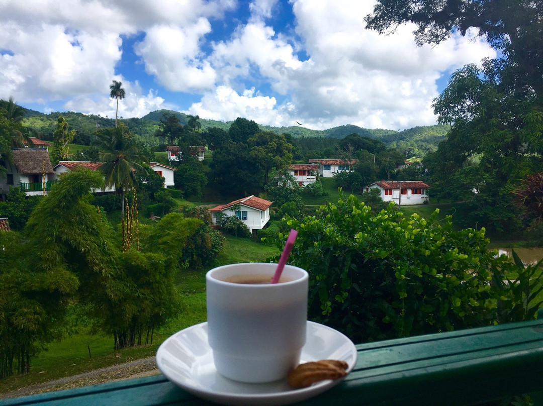 Los Palacios餐馆和美食-Cafe De Maria