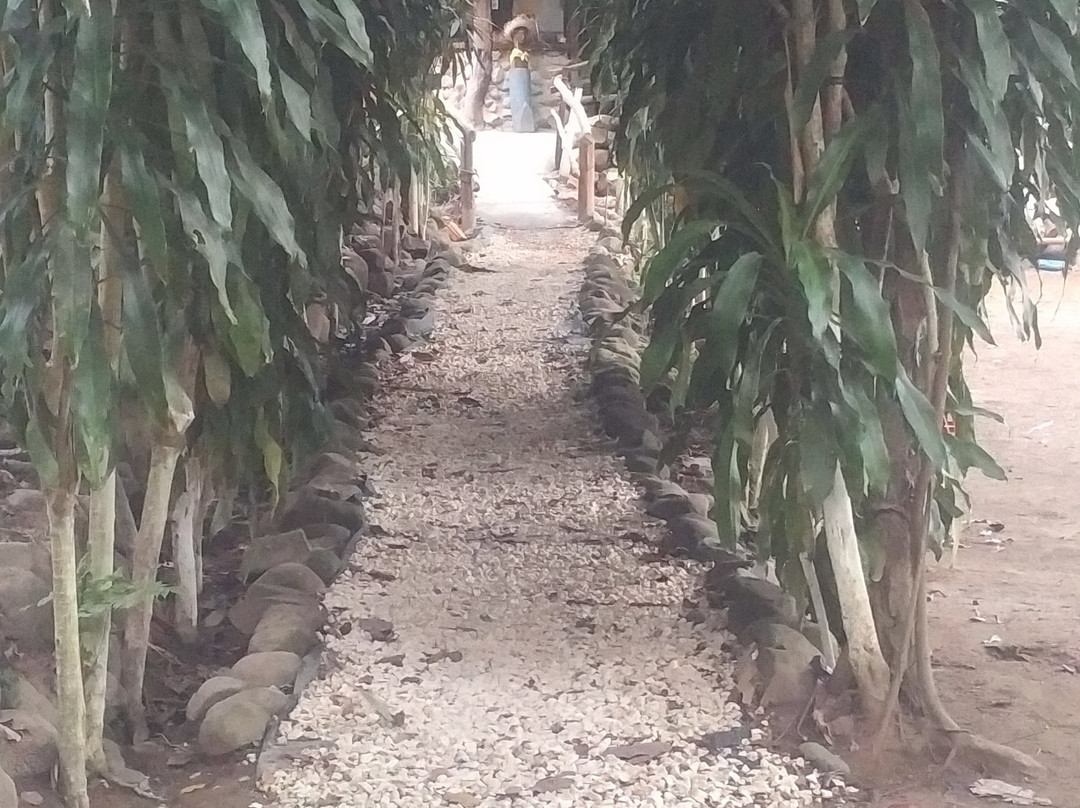 La Casa de Manito主图