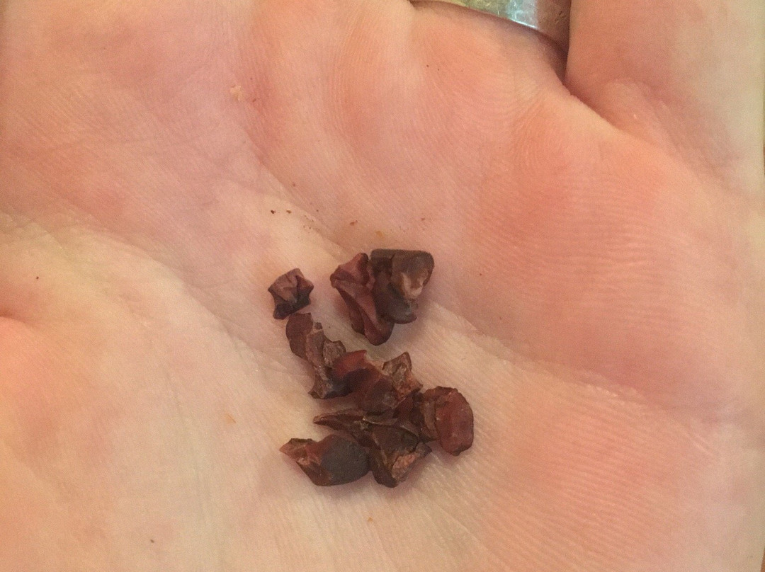 Cabure Chocolate Tour-蒙特沃德必去景点