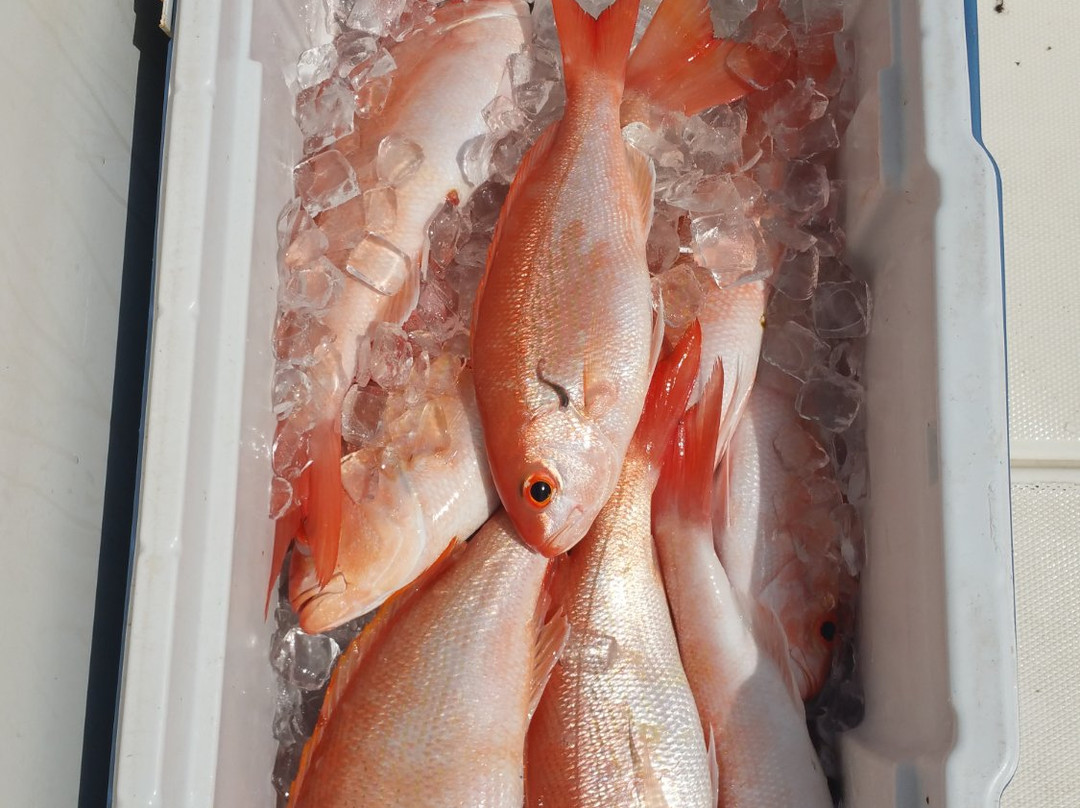 GoKeysFishing-伊斯拉摩拉达必去景点