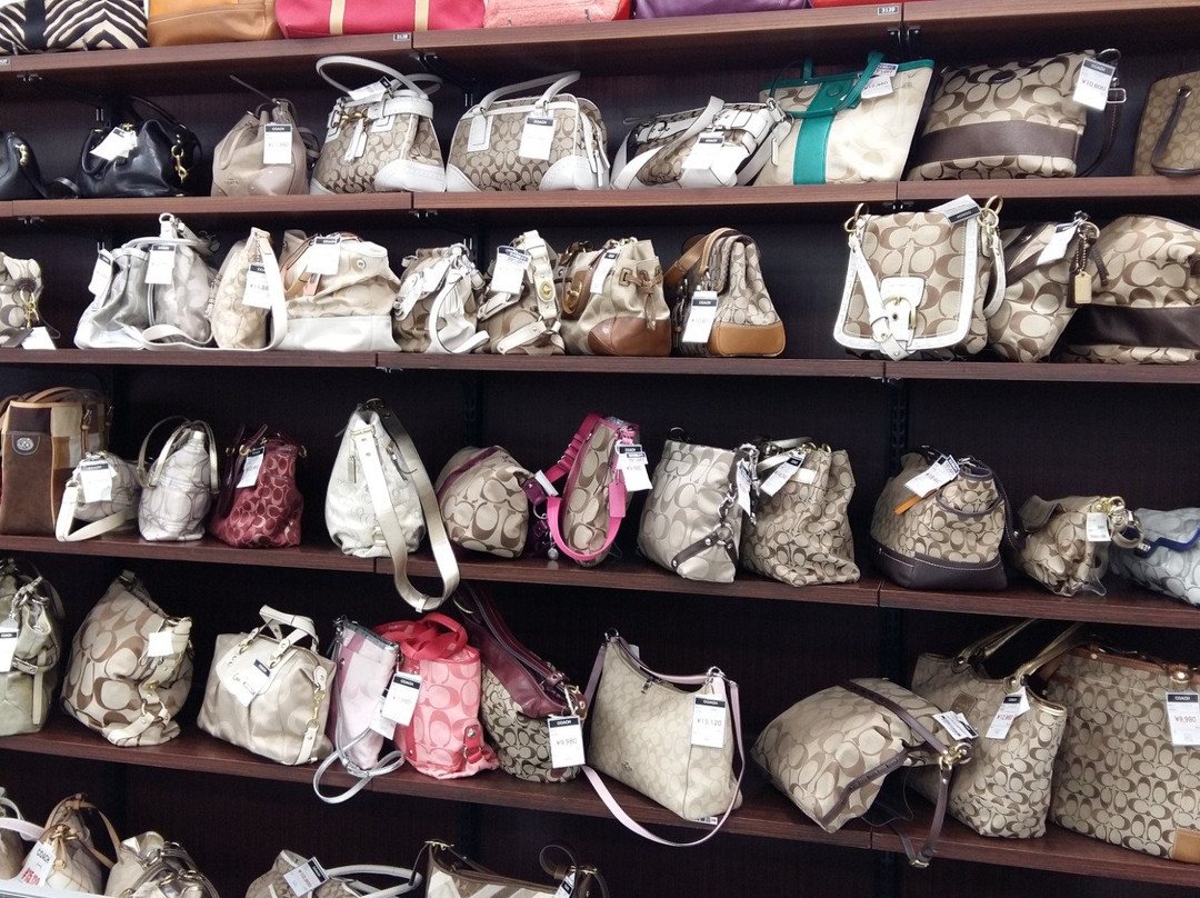 Stellar Town-埼玉市必去景点