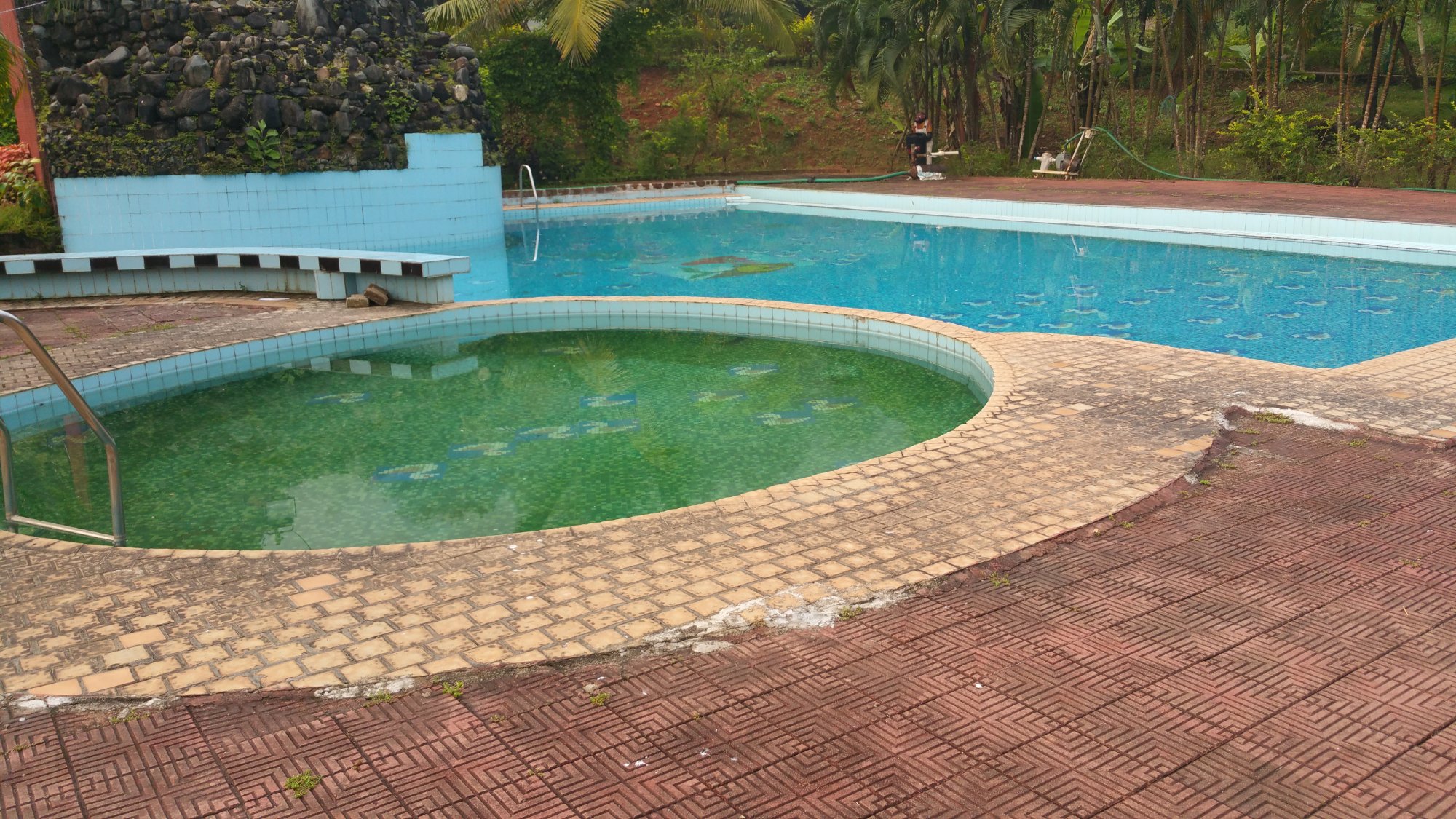 Olive Garden Resort-泳池
