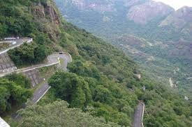 Mezzma - The Shack主图