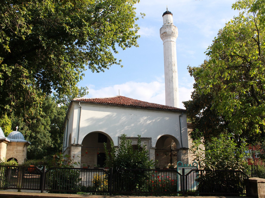Dzhamiya and Library-Vidin必去景点