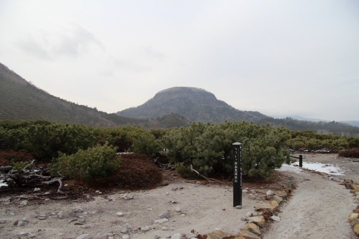 Tsutsujigahara Nature Trail-弟子屈町必去景点