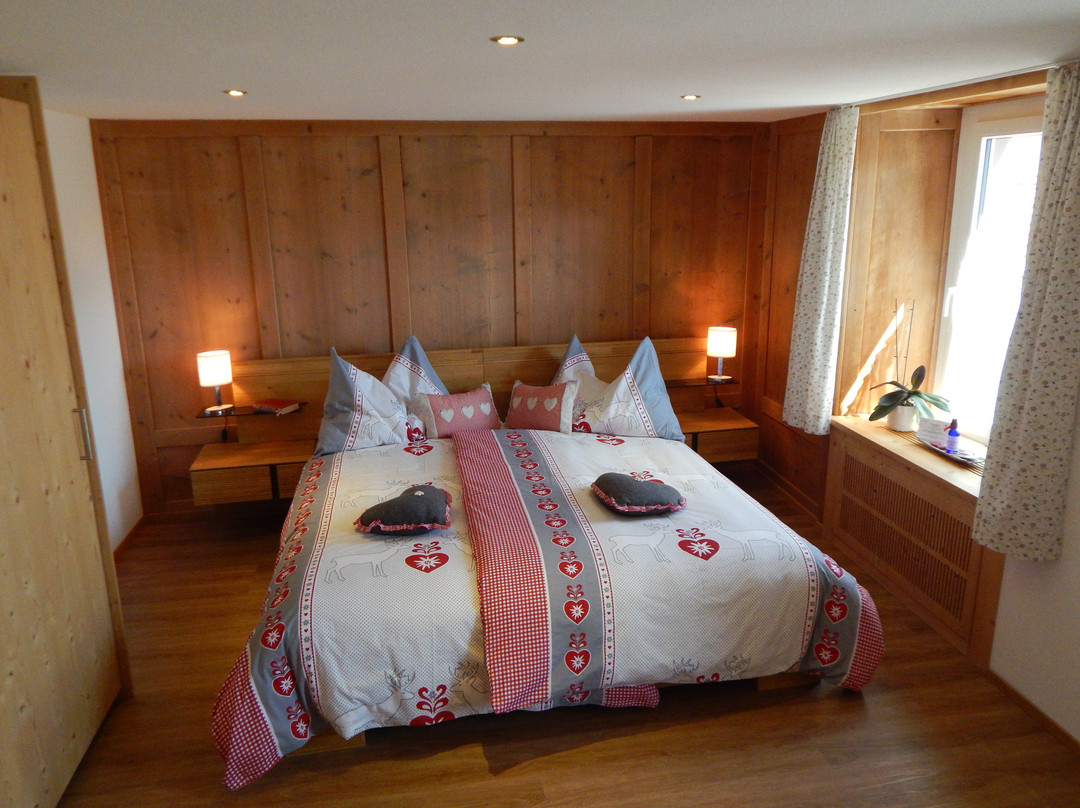 Hotel Cualmet - Alpine Garni主图