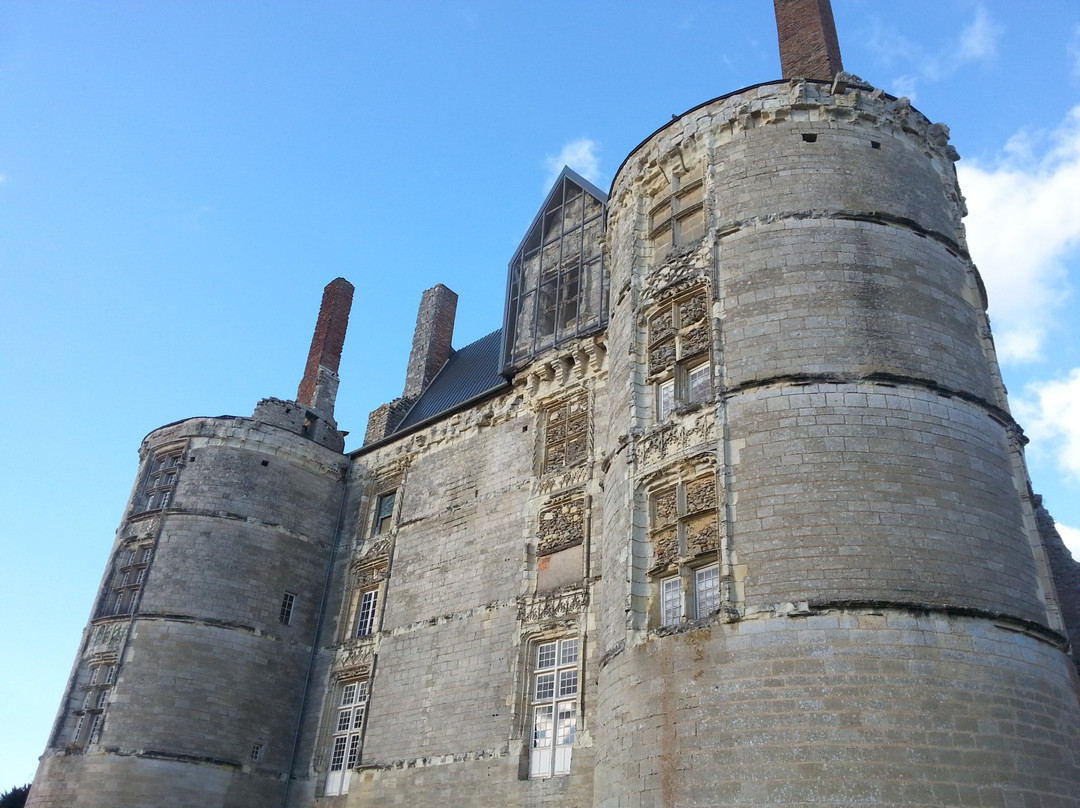 Chateau de Martigne Briand景点图片