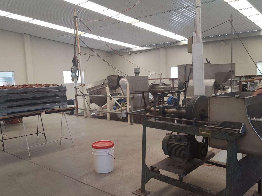 Fabrica de Dulces Guayags-Calvillo必去景点