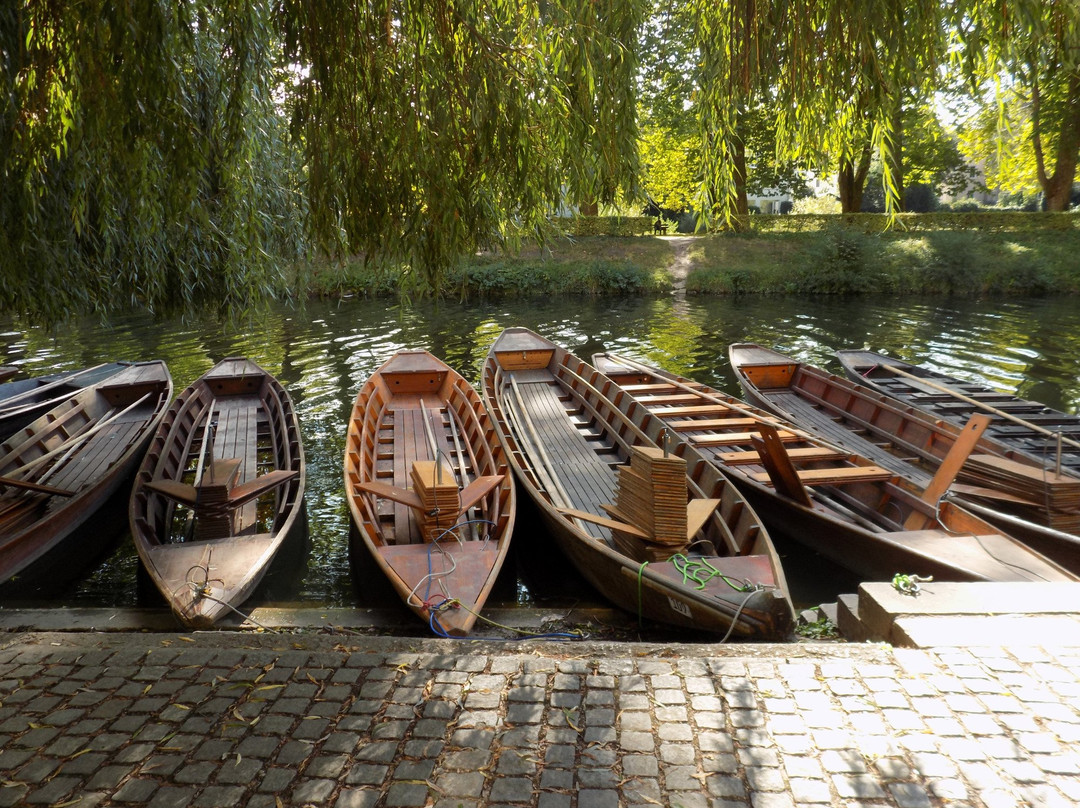 Public Punting Trips景点图片