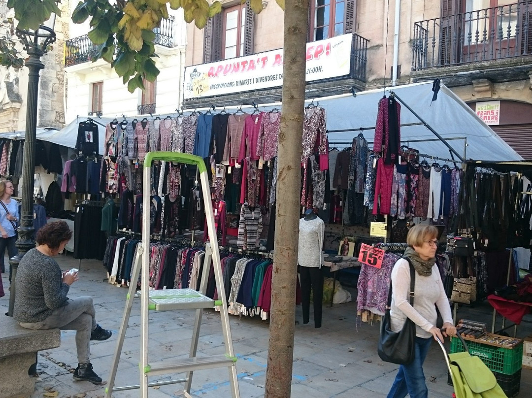 Placa de Jaume I景点图片