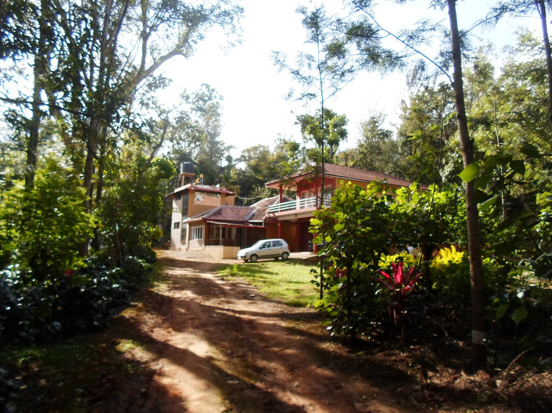 Silver Woods Homestay主图