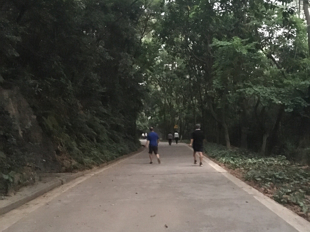 鳌峰山景点图片