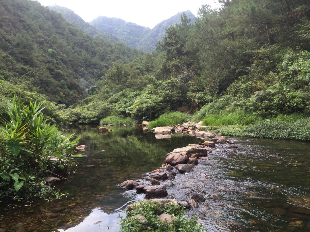 天书峡谷-蒙山县必去景点