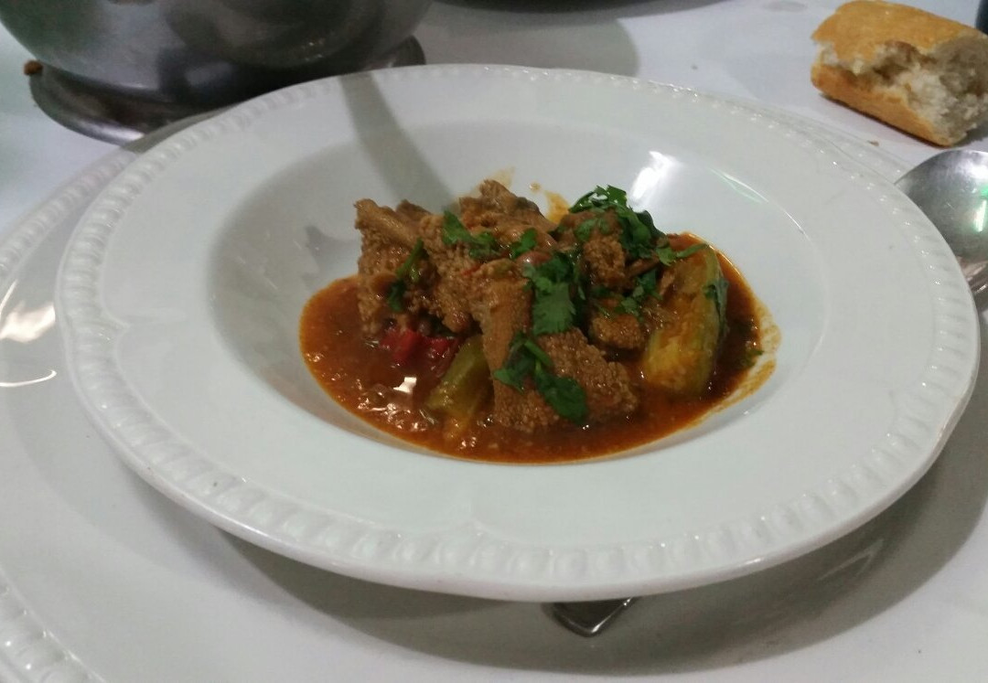 Chez Rachid, l'Araucaria