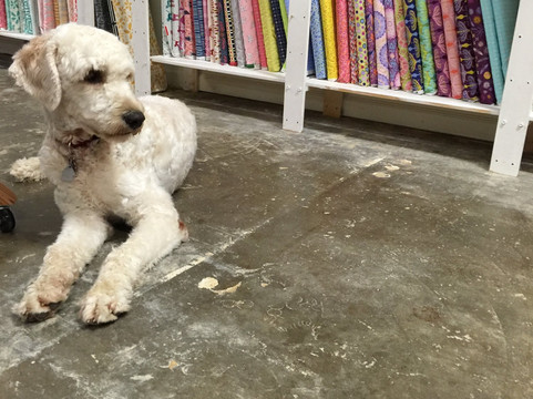 The New River Fiber Co.-克里斯琴斯堡必去景点