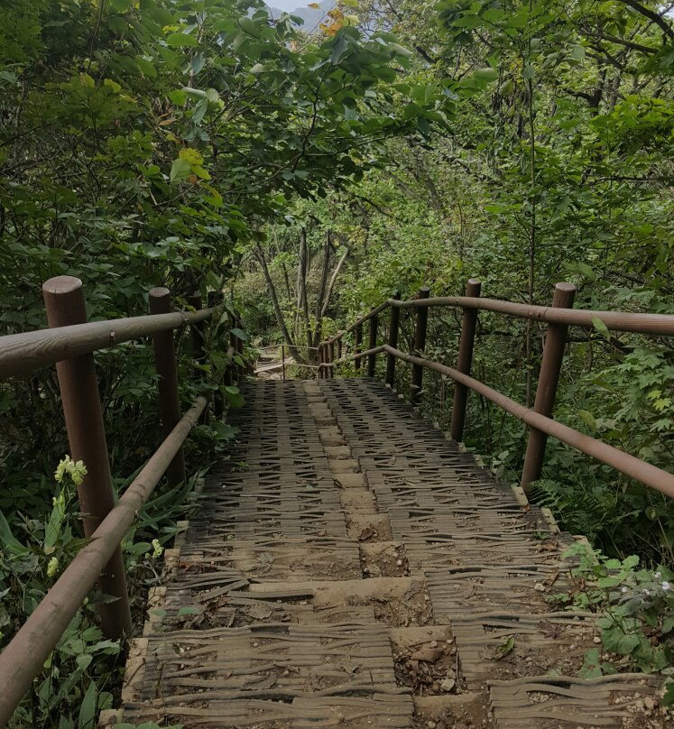 Chiaksan National Park-原州市必去景点