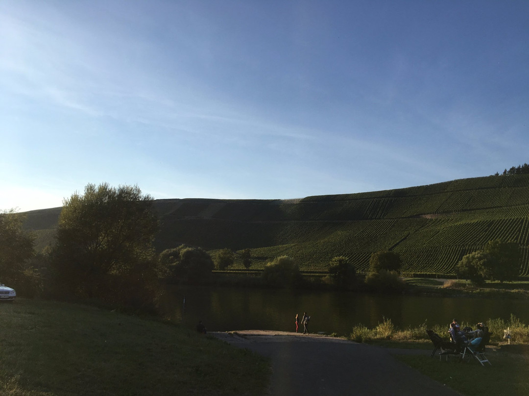 Weingut Christian Steinmetz主图