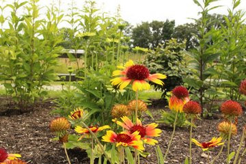 Cedar Creeks Preserve-Northwood必去景点