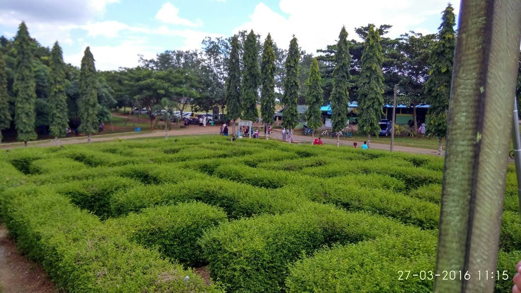 Labyrinth Park景点图片