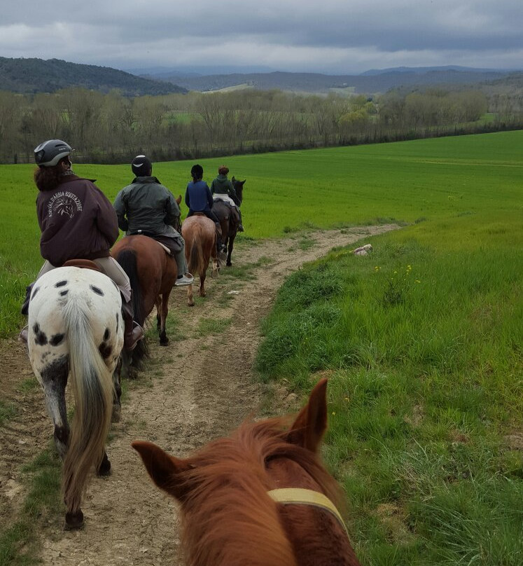 ASD Il Destriero-Buonconvento必去景点