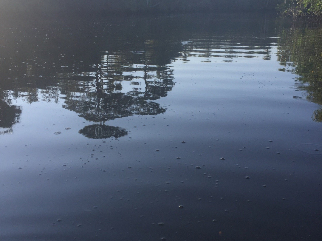 River Park Marina-圣露西港必去景点