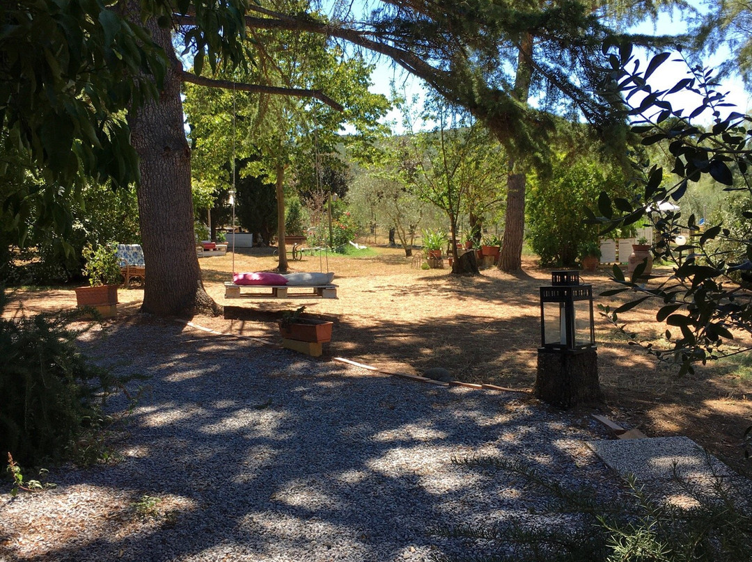 Le camere di Zelinda