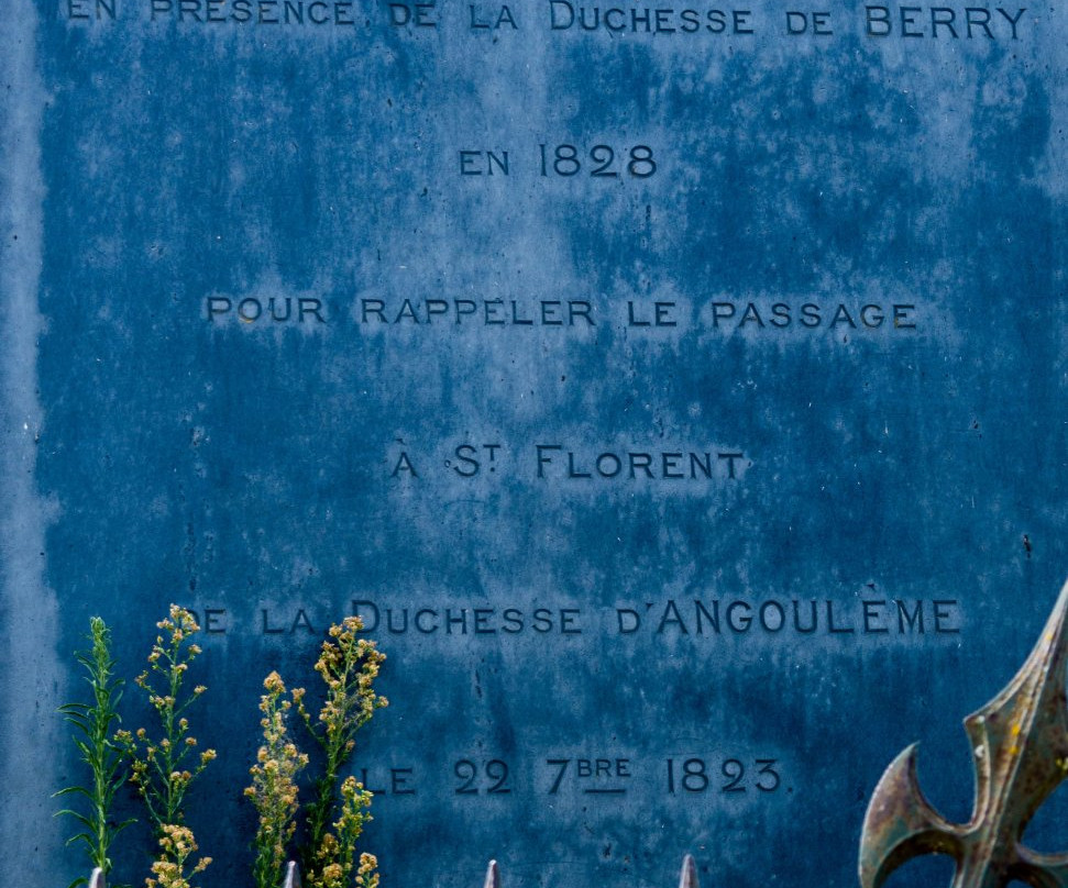 Saint-Florent-le-Vieil旅游攻略图片