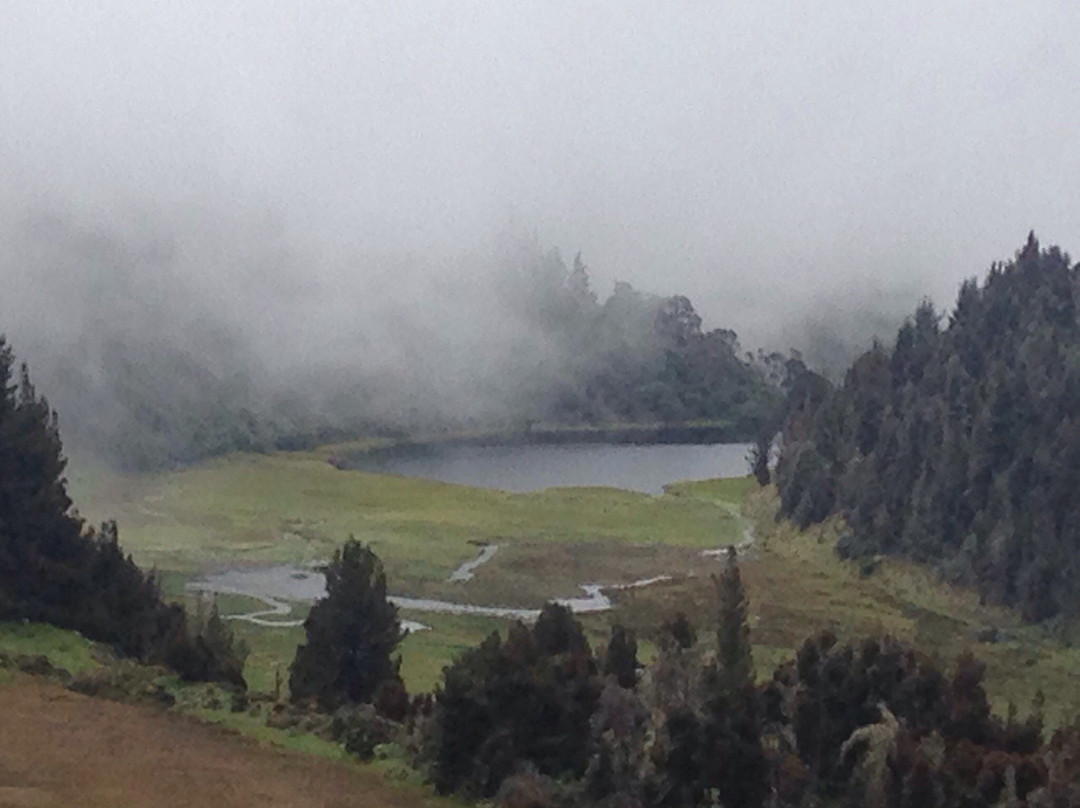 Laguna Victoria景点图片