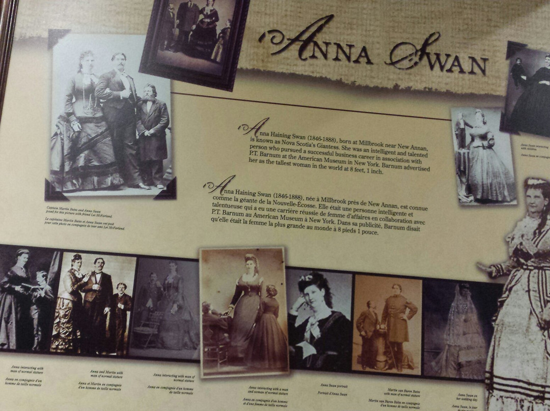 Anna Swan Museum at the Creamery-Tatamagouche必去景点