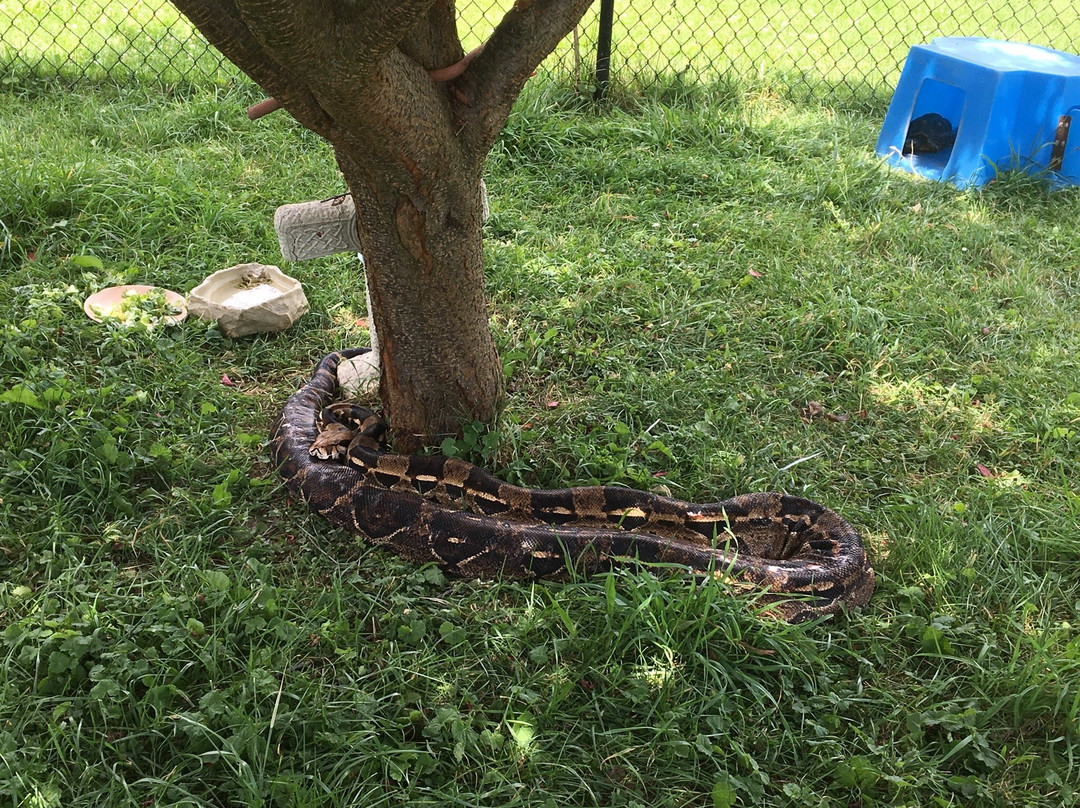 East Coast Exotic Animal Rescue-Fairfield必去景点
