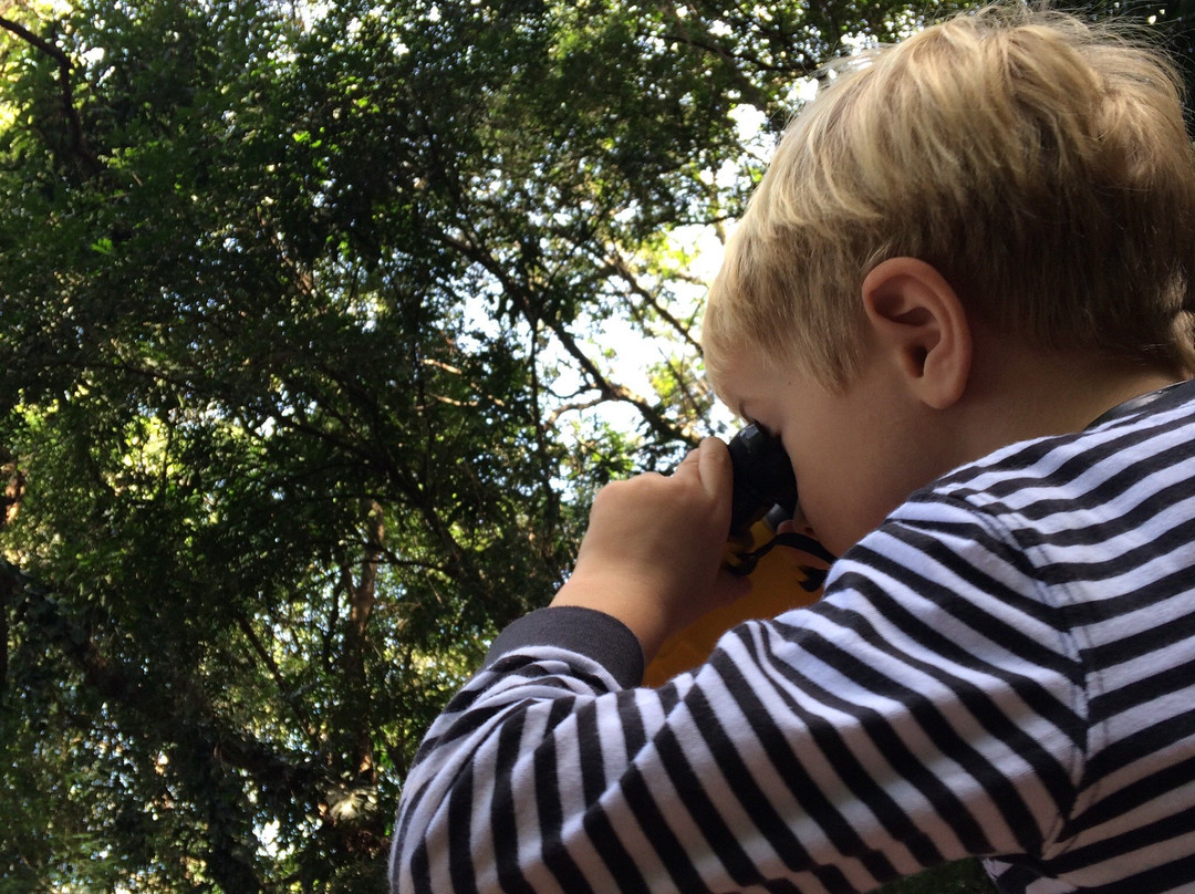 Bosque dos Italianos-坎皮纳斯必去景点