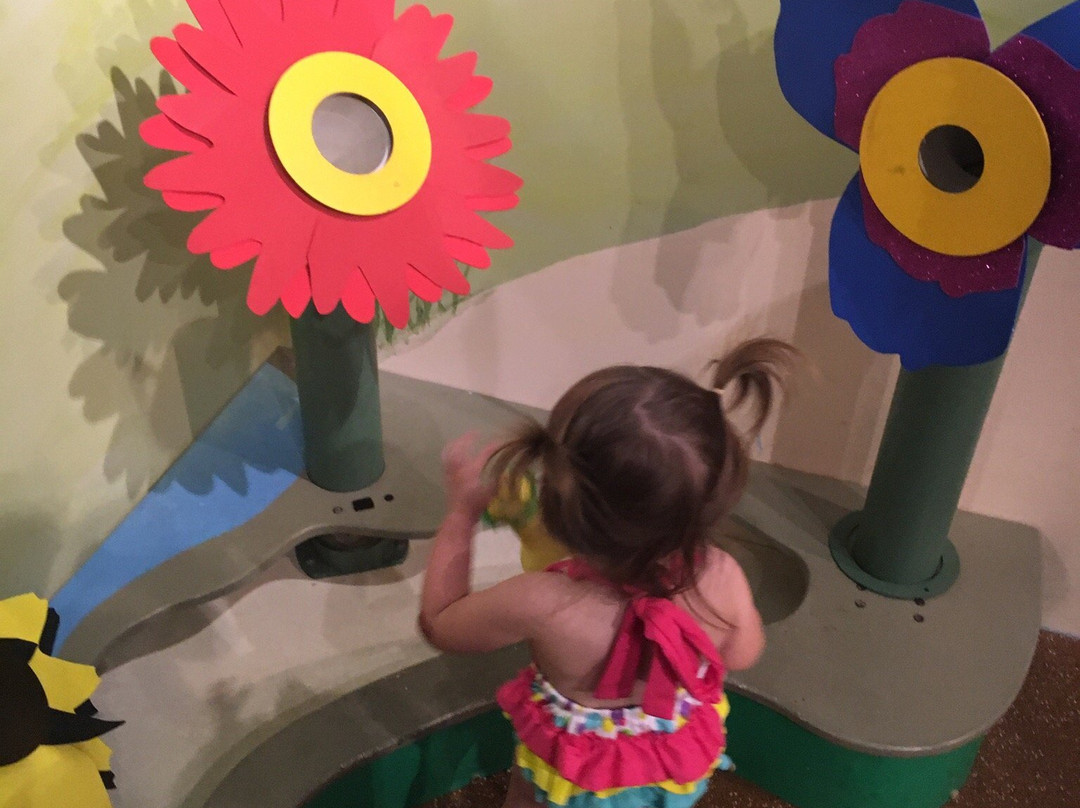 Children's Hands-On Museum of Tuscaloosa-塔斯卡卢萨县必去景点