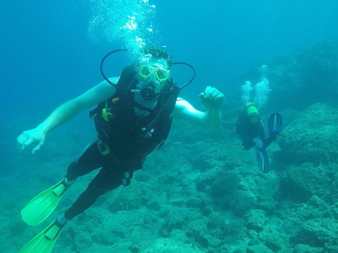 Dream Dive Centre景点图片