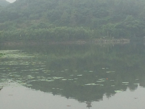 彭泽县渊明湖大酒店主图