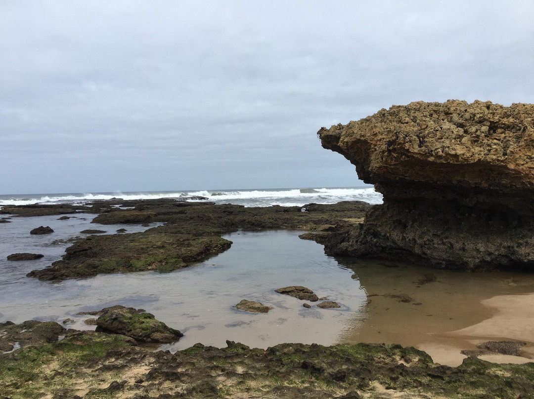 Fisherman's Beach-托基必去景点