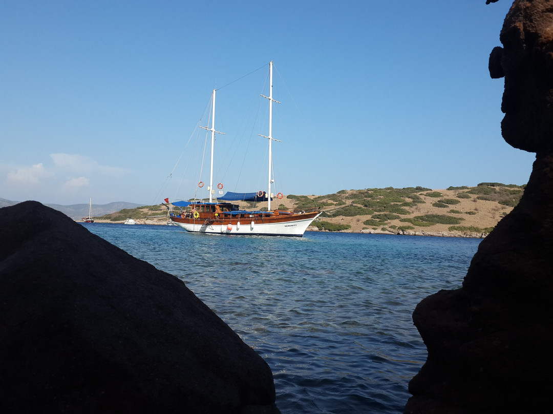 Serenity  Boat Trip景点图片