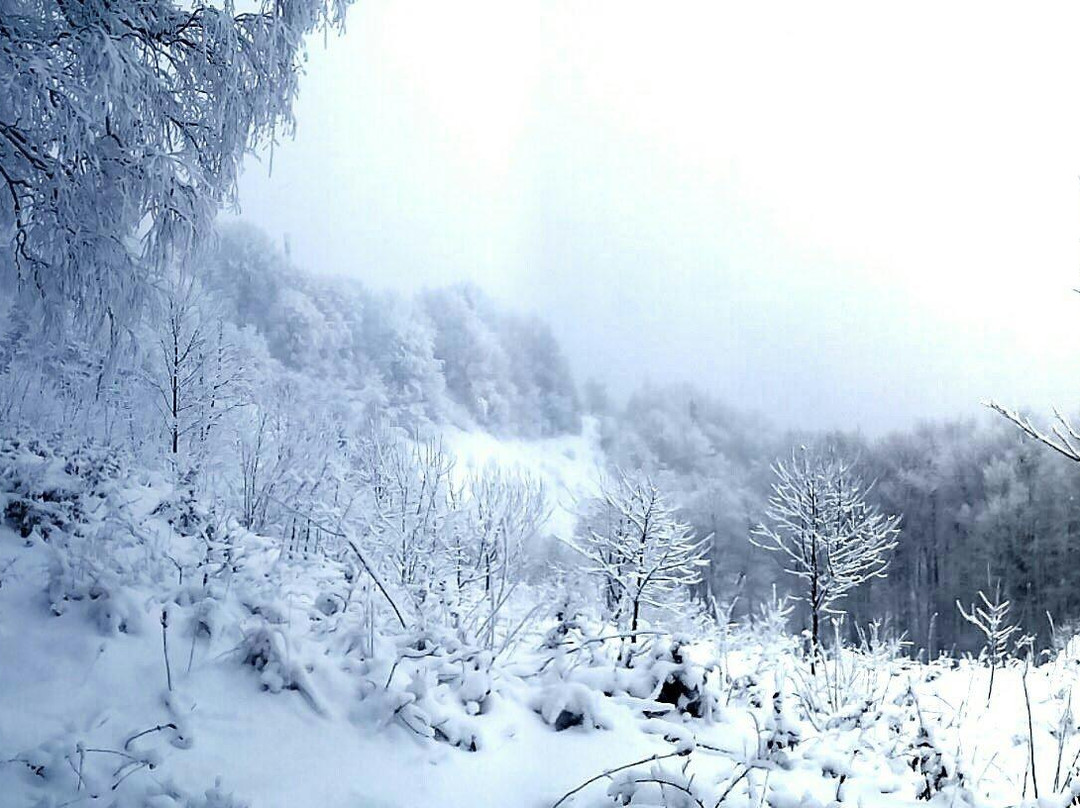 National Park Gutsulshhina-Kosiv必去景点