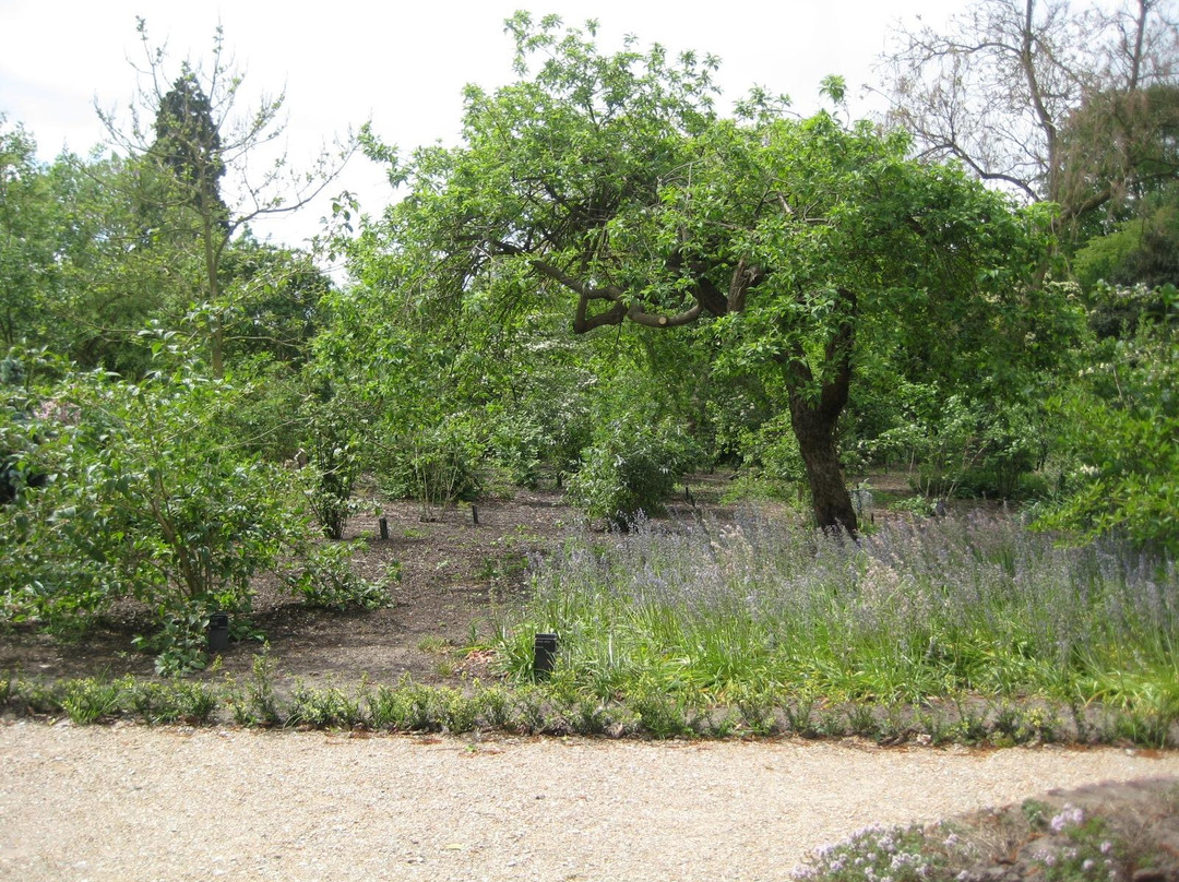 Arboretum de Dreijen景点图片