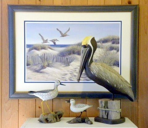 The Bird Store景点图片