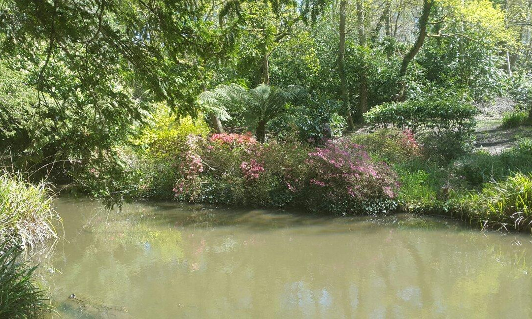 Holly Hill Woodland Park景点图片