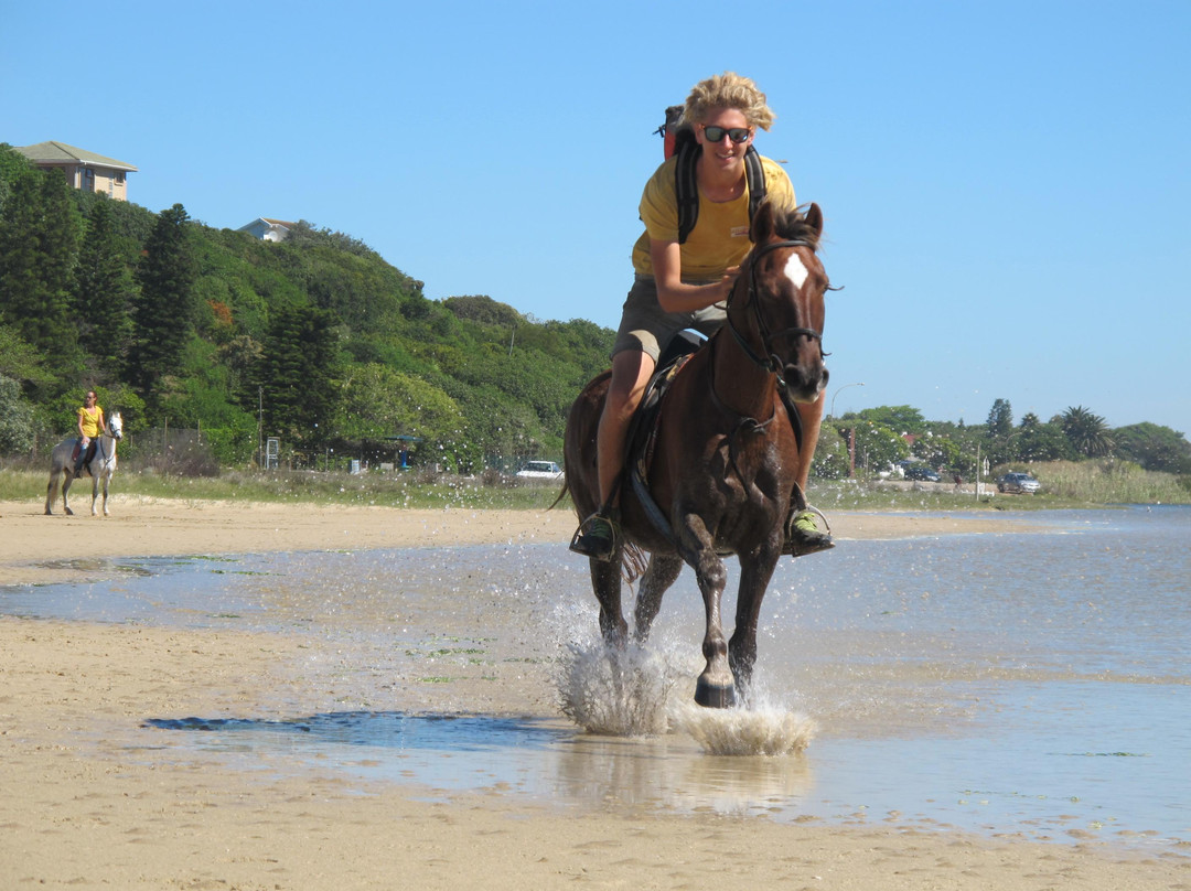 Mild2Wild Adventures-杰佛瑞湾必去景点