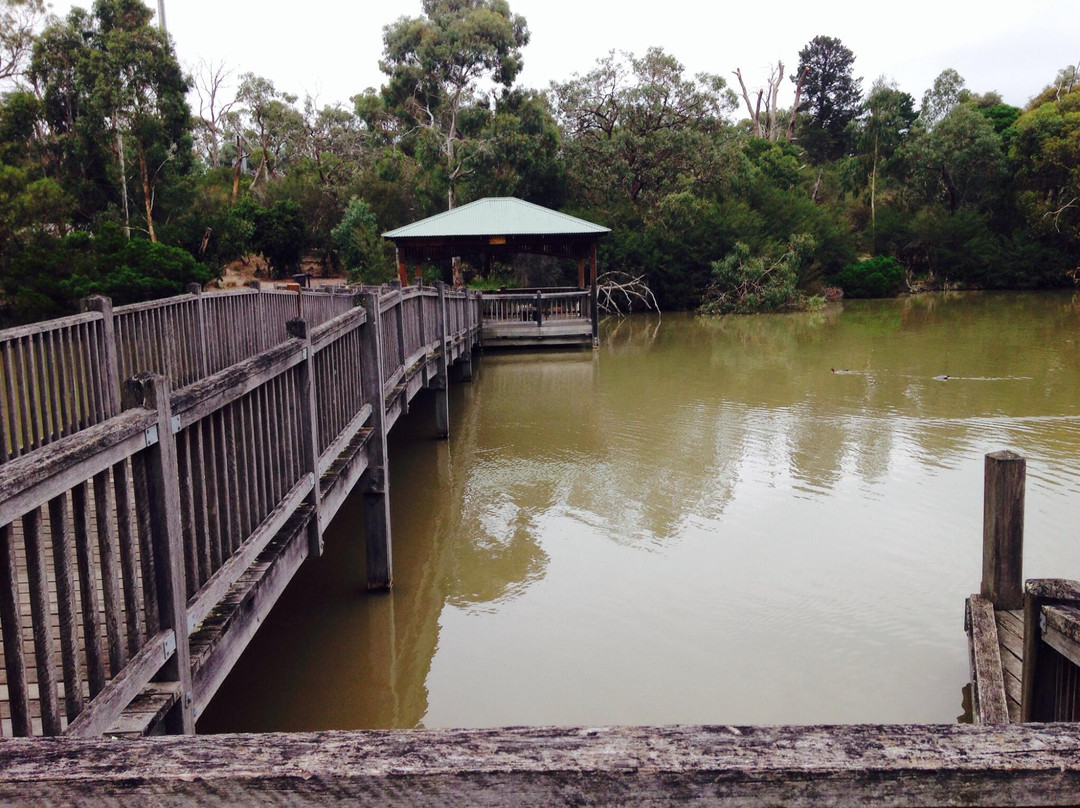Ringwood Lake景点图片