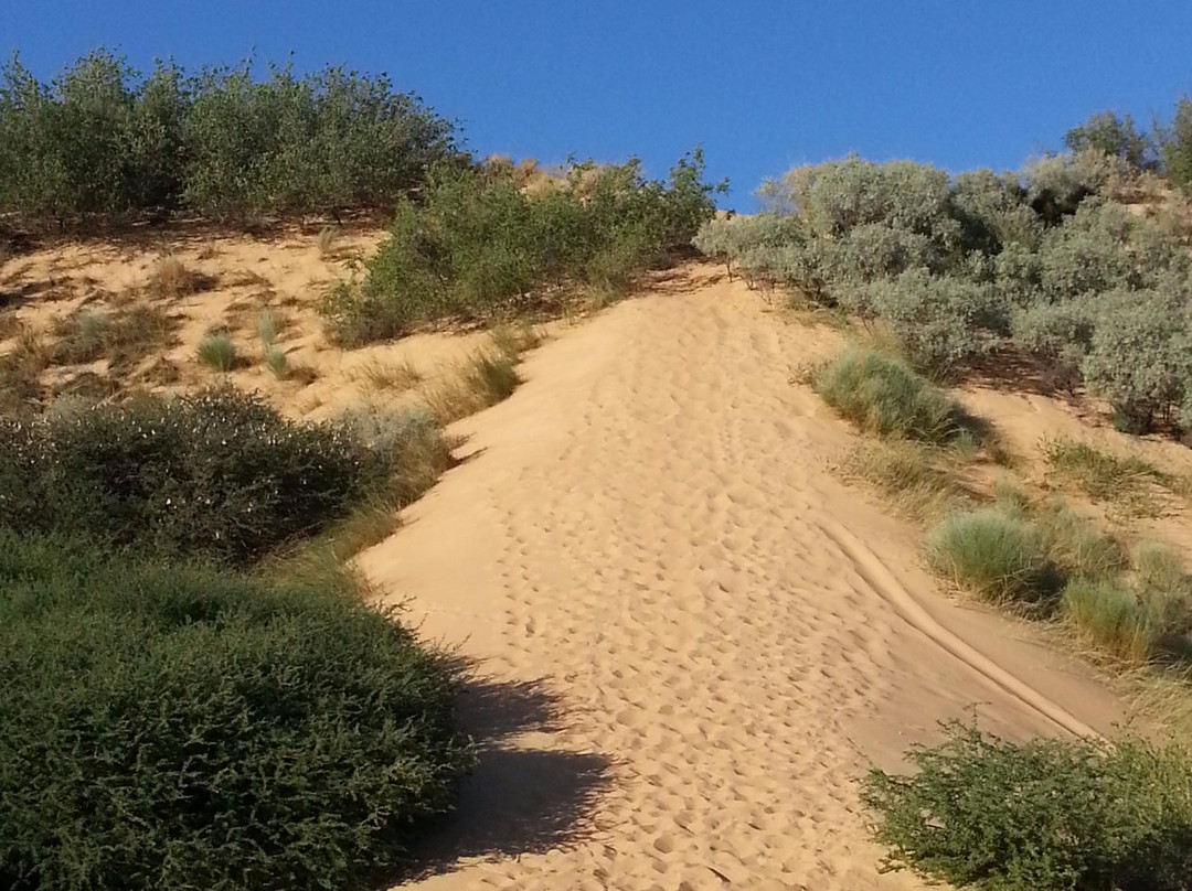 Witsand Nature Reserve-Witsand必去景点
