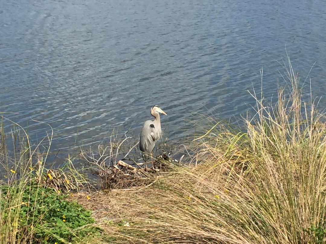 Pondhawk Natural Area-博卡拉顿必去景点