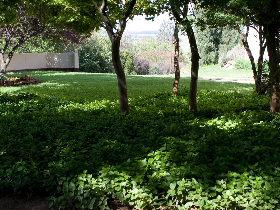 Upmarket Accommodation主图