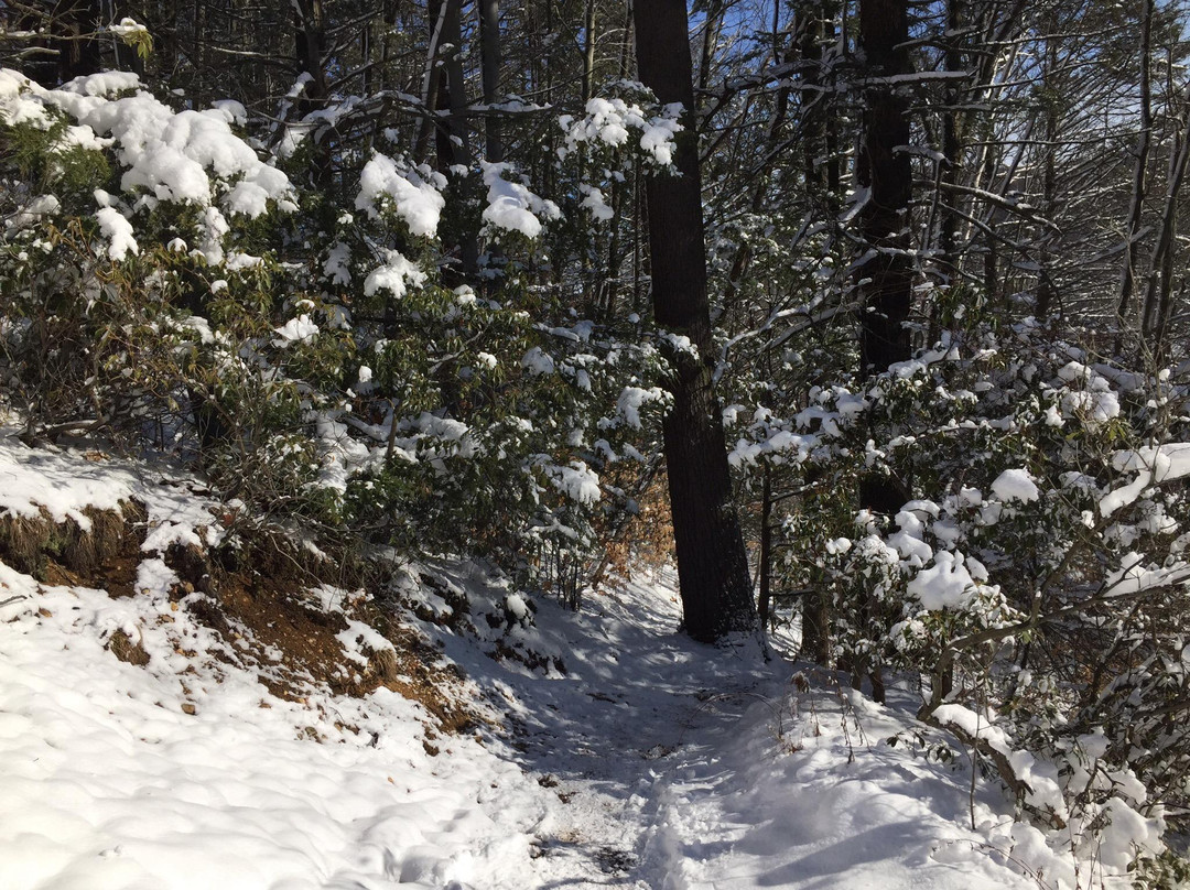 The Notch-艾姆赫斯特必去景点