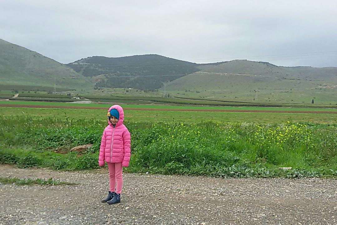 Park of Springs-Nir David必去景点