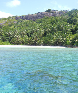 Félicité Island景点门票图片